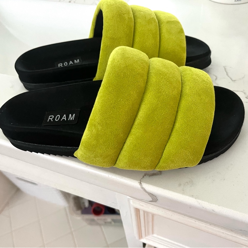 Roam slides